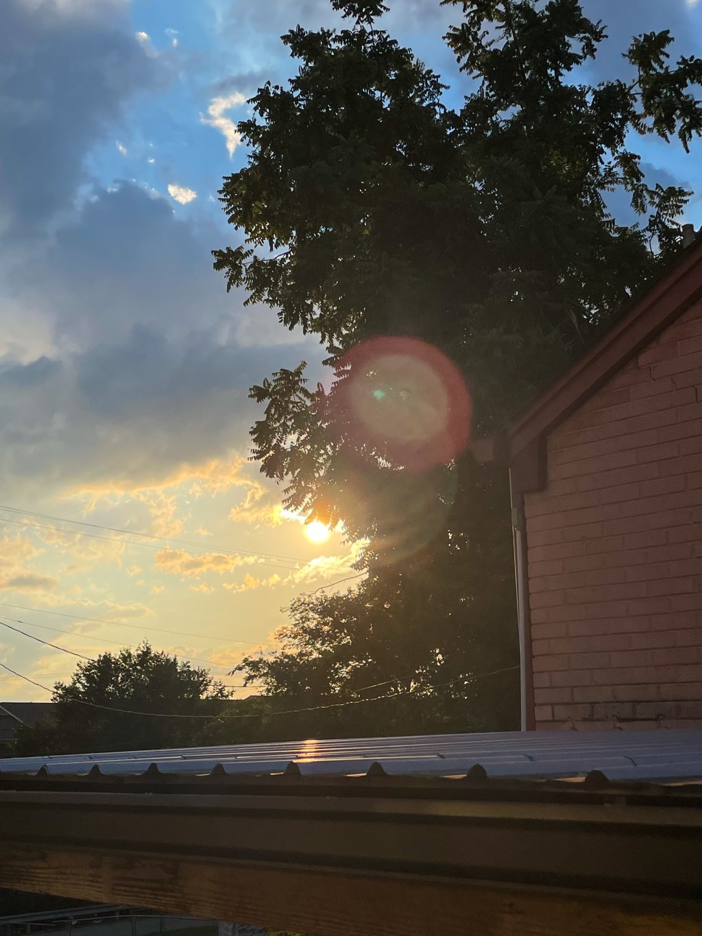 ~ A Quick Update&nbsp;~